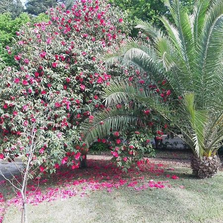 Casa Da Espinhosa Bed & Breakfast กิมาไรส์ ภายนอก รูปภาพ