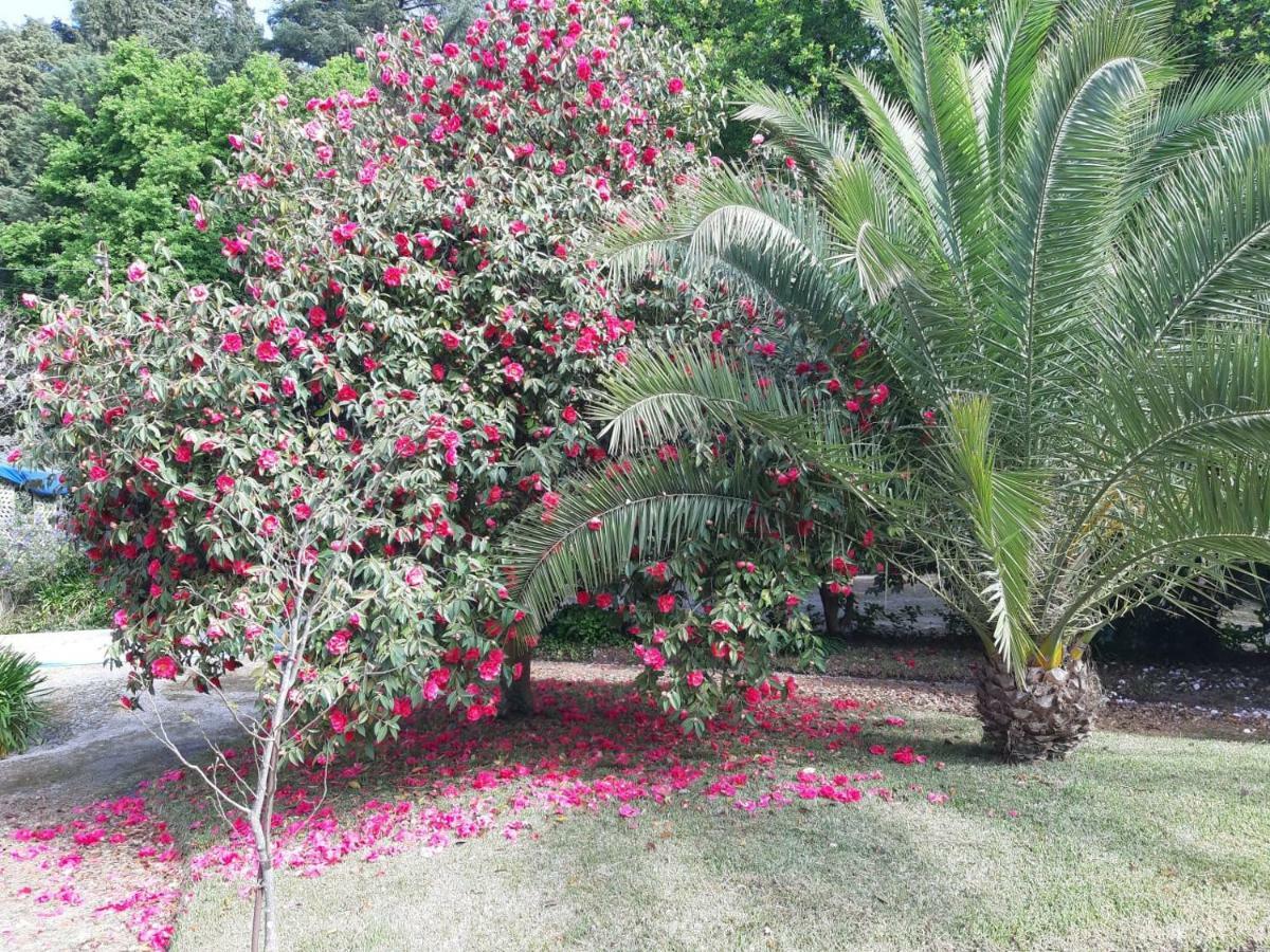 Casa Da Espinhosa Bed & Breakfast กิมาไรส์ ภายนอก รูปภาพ